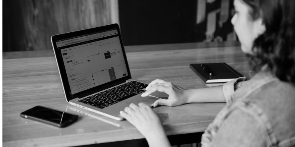Professional WordPress Training